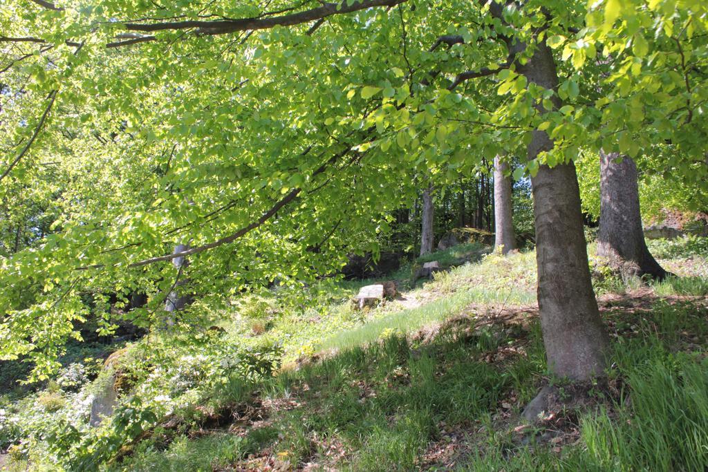 Asika Villa Josefŭv Dŭl Eksteriør billede