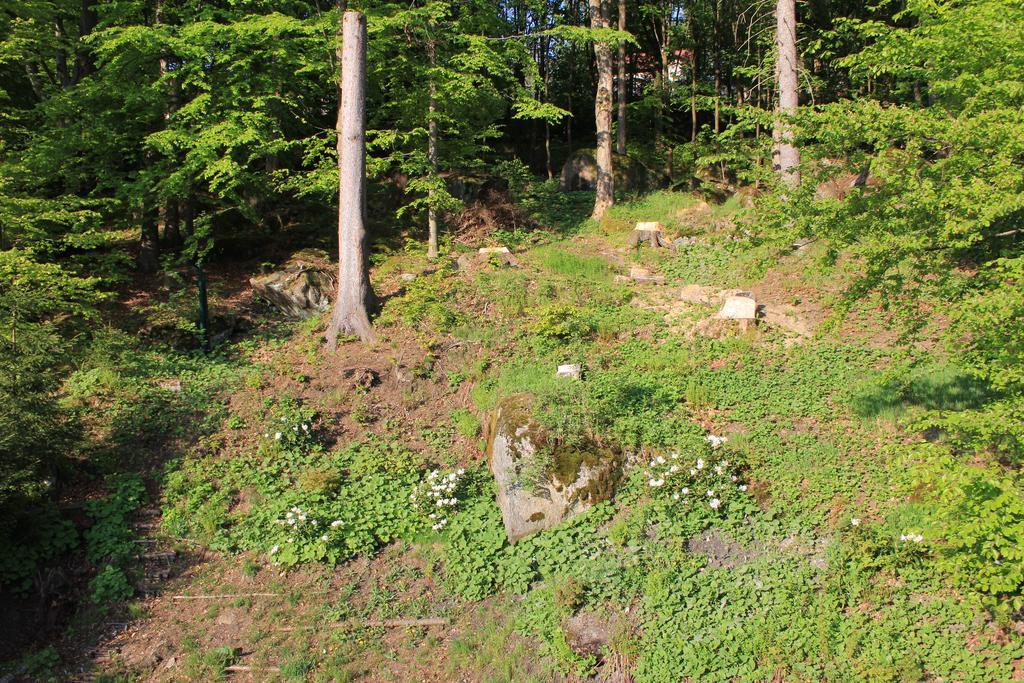 Asika Villa Josefŭv Dŭl Eksteriør billede